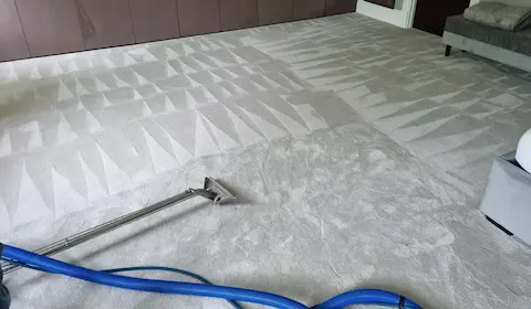 local carpet cleaning image